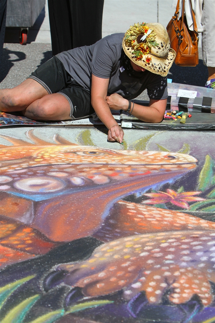 Sarasota Chalk Festival in Venice Photo Galleries